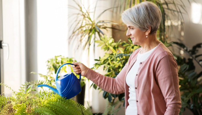 How to Create an Easy Indoor Garden Space
