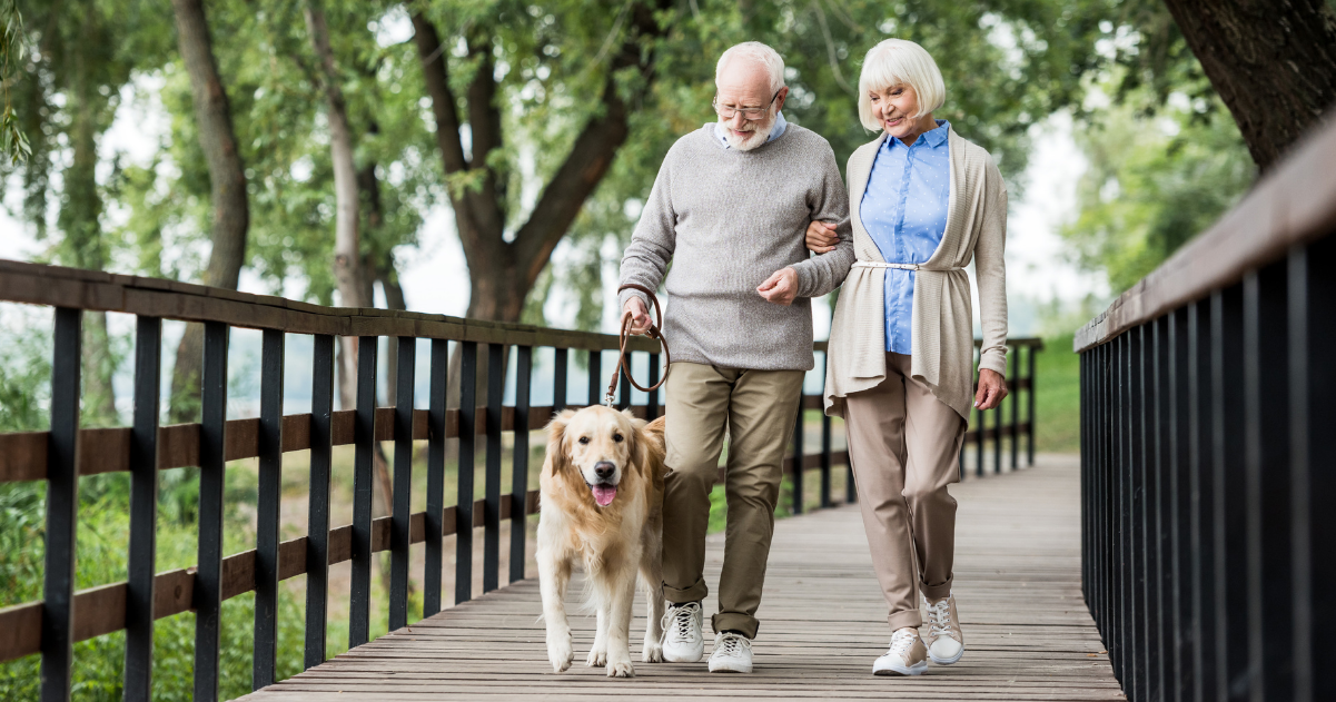 Why Walking is So Good for Senior Health