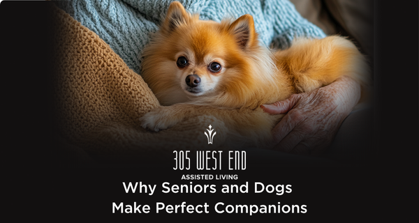 Why Seniors and Dogs Make the Perfect Companions